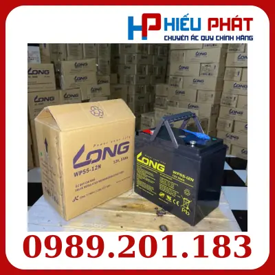 Ắc Quy Long (VRLAAGM) 12V-55Ah (20HR), WP55-12N, F8-M6