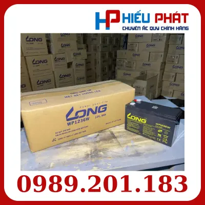 Ắc Quy Long (VRLAAGM) 12V-36WPC-1.6VPC-15Min, WP1236W, F2